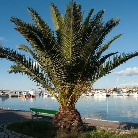 Apartment House Studenac 100m From Beach *
