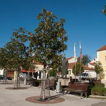 Apartment House Studenac 100m From Beach Bibinje